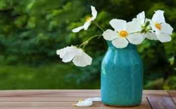 Tám điều ghi nhớ
